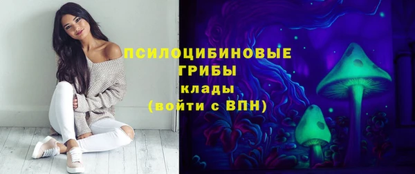 амф Абинск