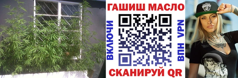 ТГК Wax  Карабаново 