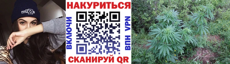 Бошки марихуана ГИДРОПОН Карабаново